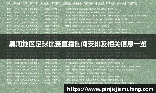 风云足球